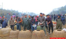 永定区王家坪砂子垭村首届鸡罩捕鱼节（组图）
