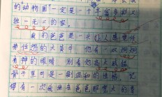 家里有个“动物园”