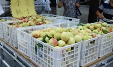 帮帮吧！卖点本地[苹果桃]，绿色无公害，好吃，价格实惠！支持农民兄弟从您做起。